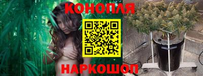 круглые Будённовск