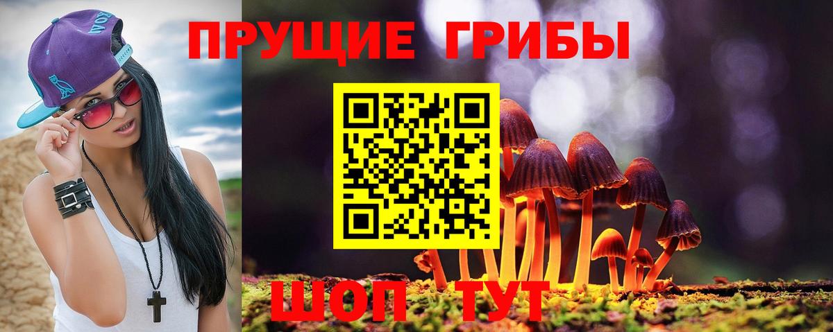 Прохладный  Галлюциногенные грибы MAGIC MUSHROOMS  Псилоцибиновые грибы Psilocybine cubensis  Вход с VPN 